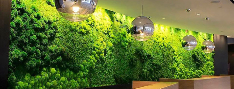 декорирование стен мохом и растениями декор бара декор кафе ресторана